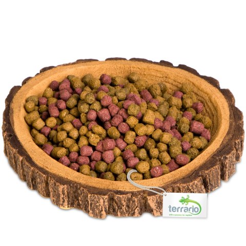 Terrario Tree Ring Bowl M - Miska do Terrarium 12x11x1,5 cm