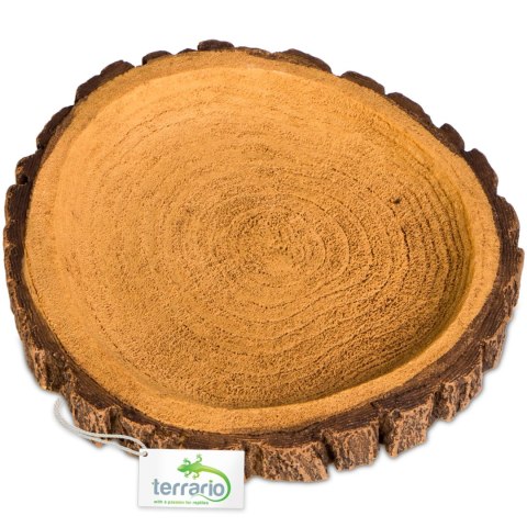 Terrario Tree Ring Bowl M - Miska do Terrarium 12x11x1,5 cm