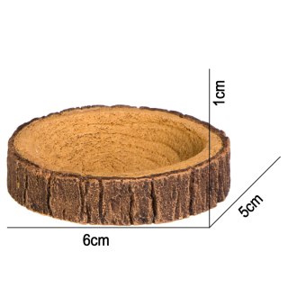 Terrario Tree Ring Bowl XS - Miska do Terrarium 6x5x1 cm