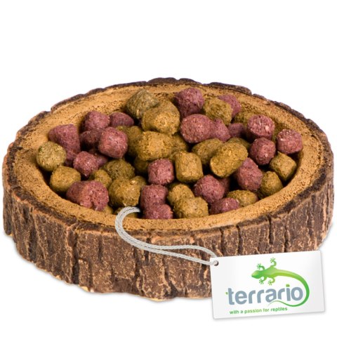 Terrario Tree Ring Bowl XS - Miska do Terrarium 6x5x1 cm