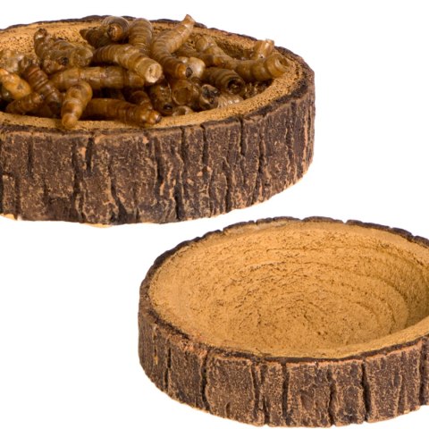 Terrario Tree Ring Bowl XS - Miska do Terrarium 6x5x1 cm