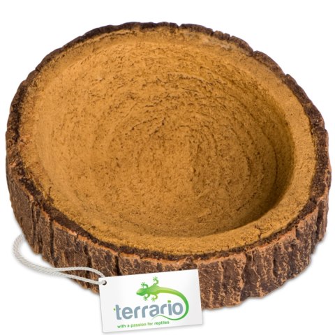 Terrario Tree Ring Bowl XS - Miska do Terrarium 6x5x1 cm
