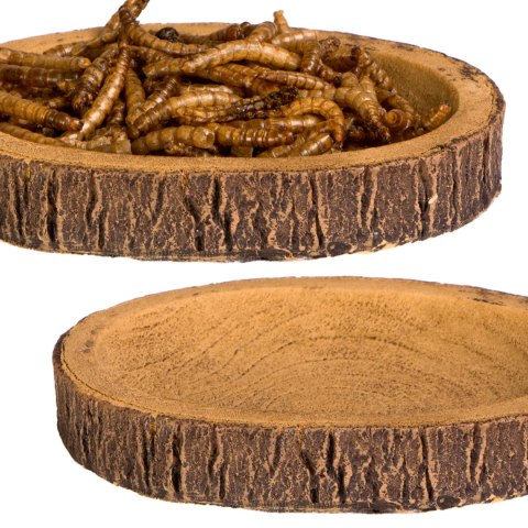 Terrario Tree Ring Bowl S - Miska do Terrarium 9,5x7,5x1 cm