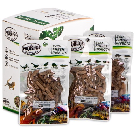ProBugs Eco-Fresh Black Solider Fly Larvae 15 x 20g - świeże larwy muchy czarnej 15 saszetek