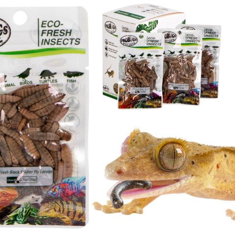 ProBugs Eco-Fresh Black Solider Fly Larvae 20g - świeże larwy muchy czarnej