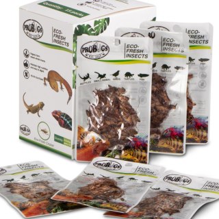 ProBugs Eco-Fresh Cricket 15 x 6g - świeże świerszcze 15 saszetek