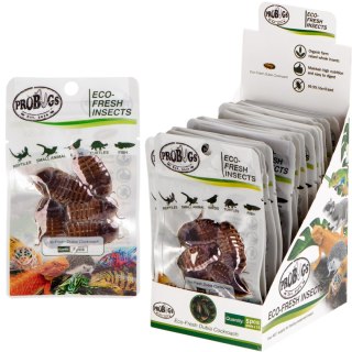 ProBugs Eco-Fresh Dubia Cockroach 15 x 5pcs - świeże karaczany argentyńskie 15 saszetek