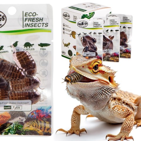 ProBugs Eco-Fresh Dubia Cockroach 15 x 5pcs - świeże karaczany argentyńskie 15 saszetek