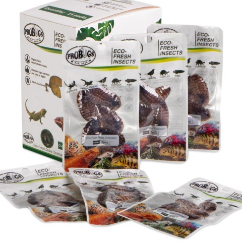 ProBugs Eco-Fresh Dubia Cockroach 5pcs - świeże karaczany argentyńskie
