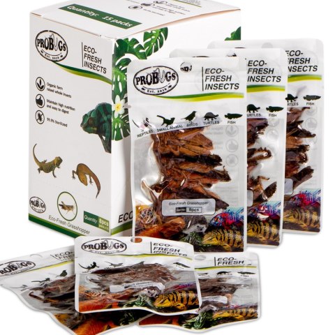 ProBugs Eco-Fresh Grasshopper 8pcs - świeże koniki polne