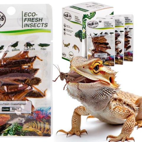ProBugs Eco-Fresh Grasshopper 8pcs - świeże koniki polne