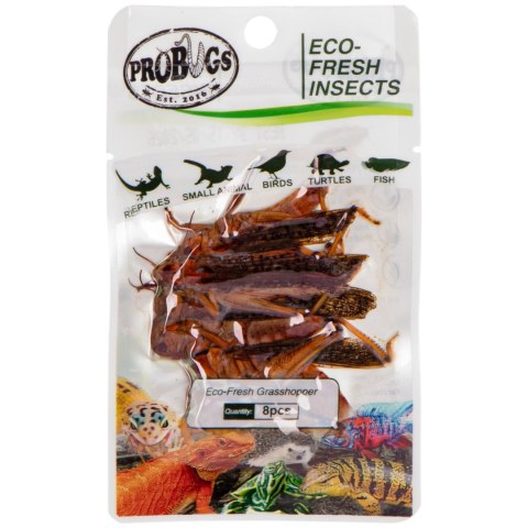 ProBugs Eco-Fresh Grasshopper 8pcs - świeże koniki polne