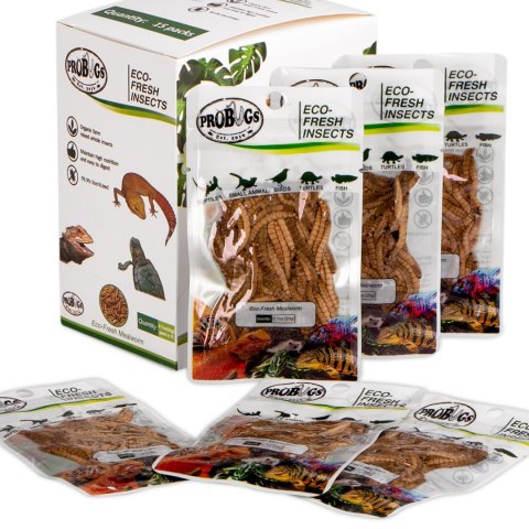 ProBugs Eco-Fresh Mealworm 15 x 20g - świeże larwy mącznika 15 saszetek