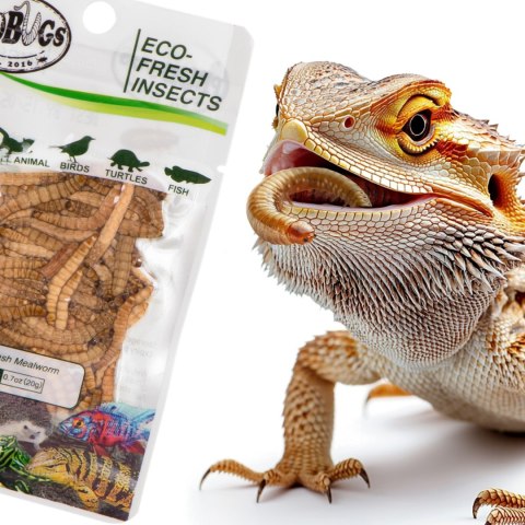 ProBugs Eco-Fresh Mealworm 15 x 20g - świeże larwy mącznika 15 saszetek