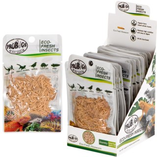 ProBugs Eco-Fresh Riceworm 15 x 15g - świeże larwy muchy 15 szaszetek
