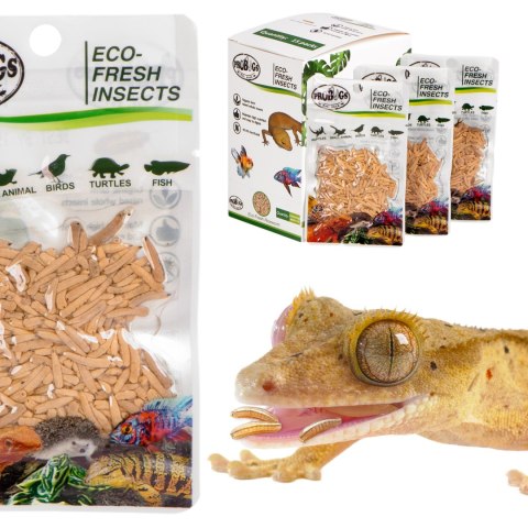 ProBugs Eco-Fresh Riceworm 15 x 15g - świeże larwy muchy 15 szaszetek