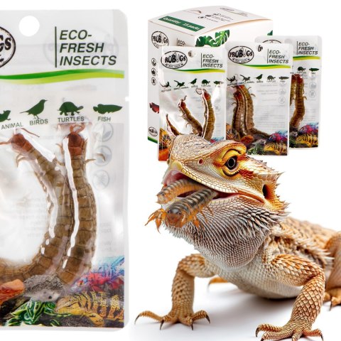ProBugs Eco-Fresh Scolopendra Centipede 2pcs - świeże skolopendry