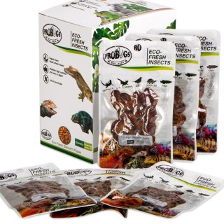 ProBugs Eco-Fresh Silkworm 15 x 15g - świeże larwy jedwabnika 15 saszetek