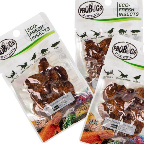 ProBugs Eco-Fresh Silkworm 15 x 15g - świeże larwy jedwabnika 15 saszetek
