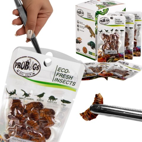 ProBugs Eco-Fresh Silkworm 15 x 15g - świeże larwy jedwabnika 15 saszetek