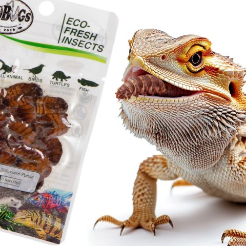 ProBugs Eco-Fresh Silkworm 15g - świeże larwy jedwabnika