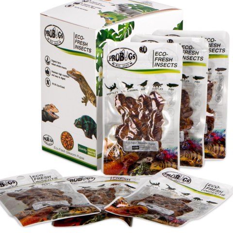 ProBugs Eco-Fresh Silkworm 15g - świeże larwy jedwabnika