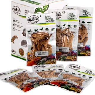 ProBugs Eco-Fresh Superworm 15 x 20g - świeże larwy drewnojada 15 saszetek