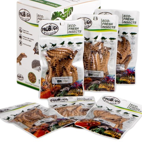 ProBugs Eco-Fresh Superworm 15 x 20g - świeże larwy drewnojada 15 saszetek