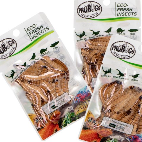 ProBugs Eco-Fresh Superworm 15 x 20g - świeże larwy drewnojada 15 saszetek