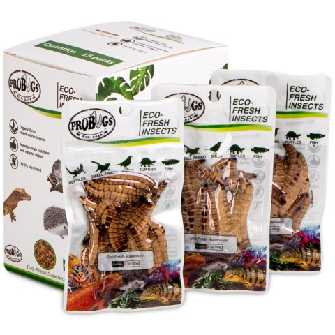 ProBugs Eco-Fresh Superworm 15 x 20g - świeże larwy drewnojada 15 saszetek