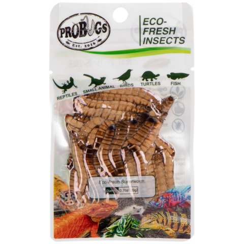 ProBugs Eco-Fresh Superworm 15 x 20g - świeże larwy drewnojada 15 saszetek