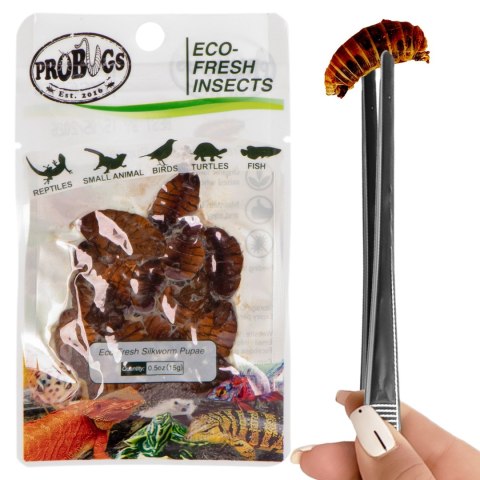 Probugs Reptiles Set - zestaw robaków dla średnich gadów