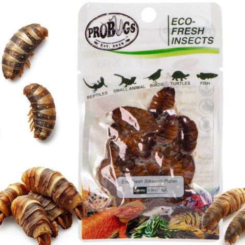 Probugs Reptiles Set - zestaw robaków dla średnich gadów