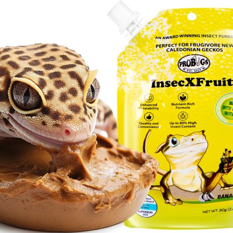 Probugs Small Gecko Set Plus - kompletna dieta dla gekonów robaki i żel z witaminami