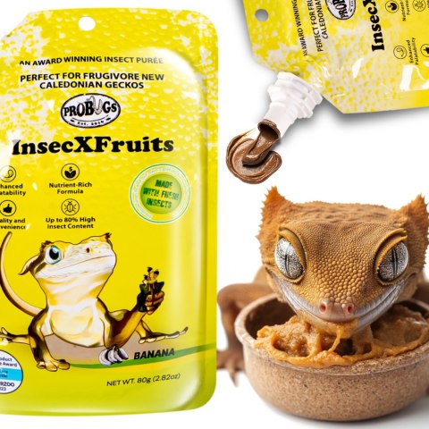 Probugs Small Gecko Set Plus - kompletna dieta dla gekonów robaki i żel z witaminami