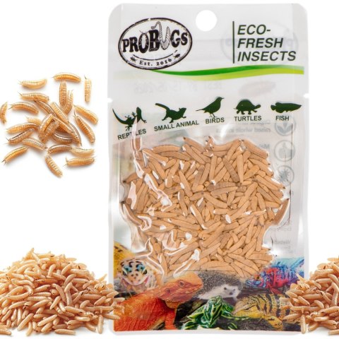 Probugs Small Gecko Set Plus - kompletna dieta dla gekonów robaki i żel z witaminami