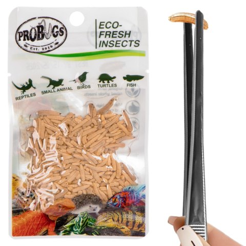 Probugs Small Gecko Set Plus - kompletna dieta dla gekonów robaki i żel z witaminami