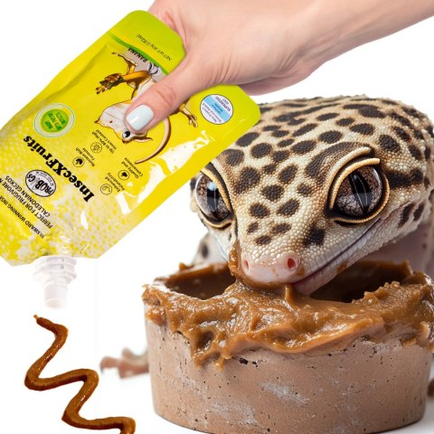 Probugs Small Gecko Set Plus - kompletna dieta dla gekonów robaki i żel z witaminami