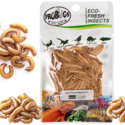 Probugs Small Gecko Set Plus - kompletna dieta dla gekonów robaki i żel z witaminami