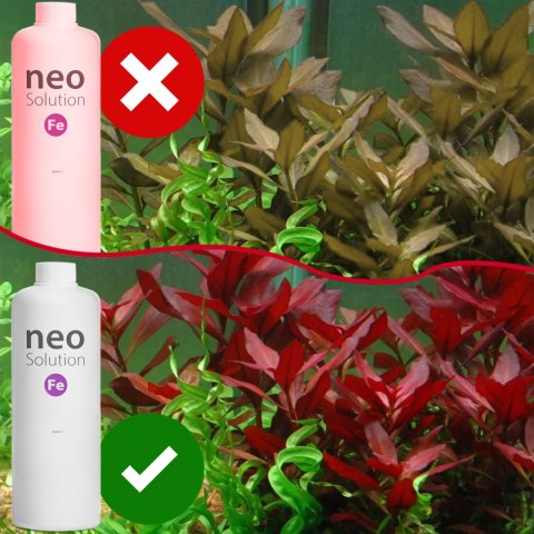Neo Solution Fe 1000ml - żelazo w płynie Neo Solution Fe 1000ml - żelazo w płynie