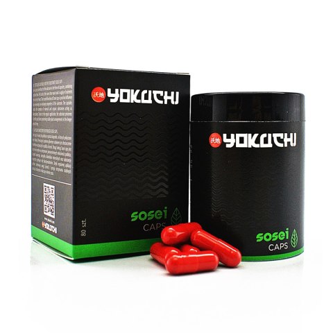 YOKUCHI SOSEI CAPS - nawóz do podłoża 80sztuk YOKUCHI SOSEI CAPS - nawóz do podłoża 80sztuk