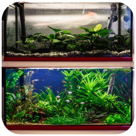 Evolution Aqua Waste Remover - usuwa szlam i zanieczyszczenia Evolution Aqua Waste Remover - usuwa szlam i zanieczyszczenia