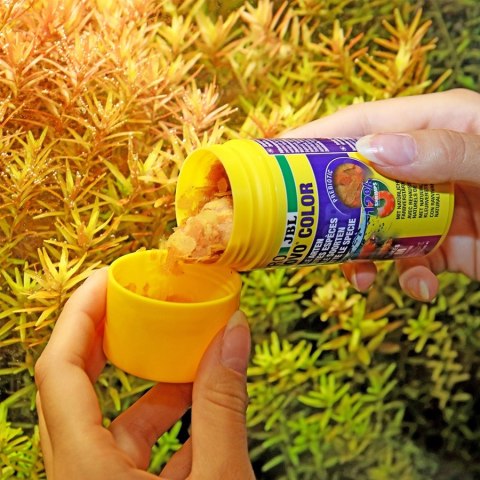 JBL Pronovo Color Flakes M 250ml - pokarm w płatkach wzmacniający kolory ryb JBL Pronovo Color Flakes M 250ml - pokarm w płatkach wzmacniający kolory ryb