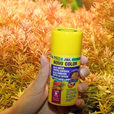 JBL Pronovo Color Flakes M 250ml - pokarm w płatkach wzmacniający kolory ryb JBL Pronovo Color Flakes M 250ml - pokarm w płatkach wzmacniający kolory ryb