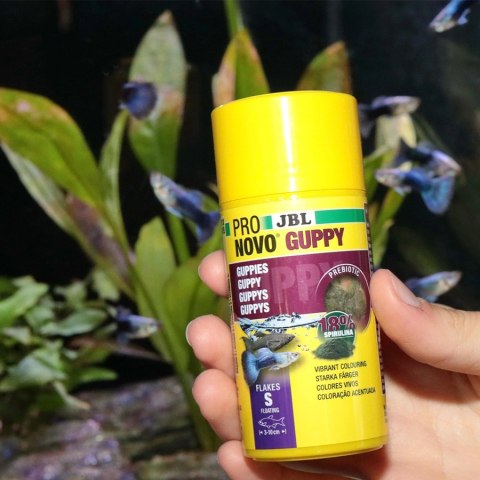 JBL Pronovo Grupy 250ml - pokarm dla gupików i ryb żyworodnych JBL Pronovo Grupy 250ml - pokarm dla gupików i ryb żyworodnych