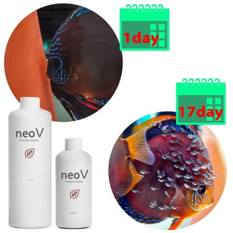 Neo V 1000ml - bakterie + stabilizacja pH + witaminy dla ryb Neo V 1000ml - bakterie + stabilizacja pH + witaminy dla ryb