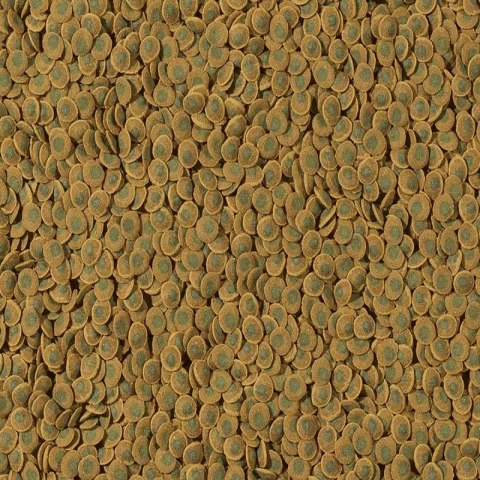 Tetra Pleco Veggie Wafers 15g - pokarm roślinny dla ryb dennych Tetra Pleco Veggie Wafers 15g - pokarm roślinny dla ryb dennych