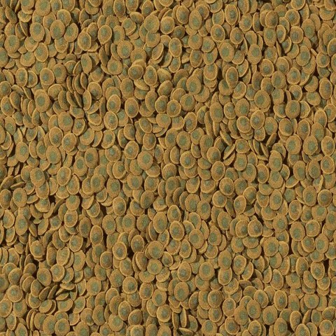 Tetra Pleco VeggieWafers 250ml - pokarm dla ryb roślinożernych dennych Tetra Pleco VeggieWafers 250ml - pokarm dla ryb roślinożernych dennych
