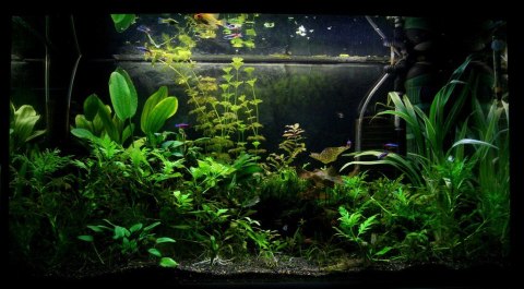 Aqua-art Aqua Substrate PRO 6 L - czarne podłoże Aqua-art Aqua Substrate PRO 6 L - czarne podłoże