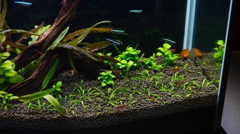 Aqua-art Aqua Substrate PRO 6 L - czarne podłoże Aqua-art Aqua Substrate PRO 6 L - czarne podłoże